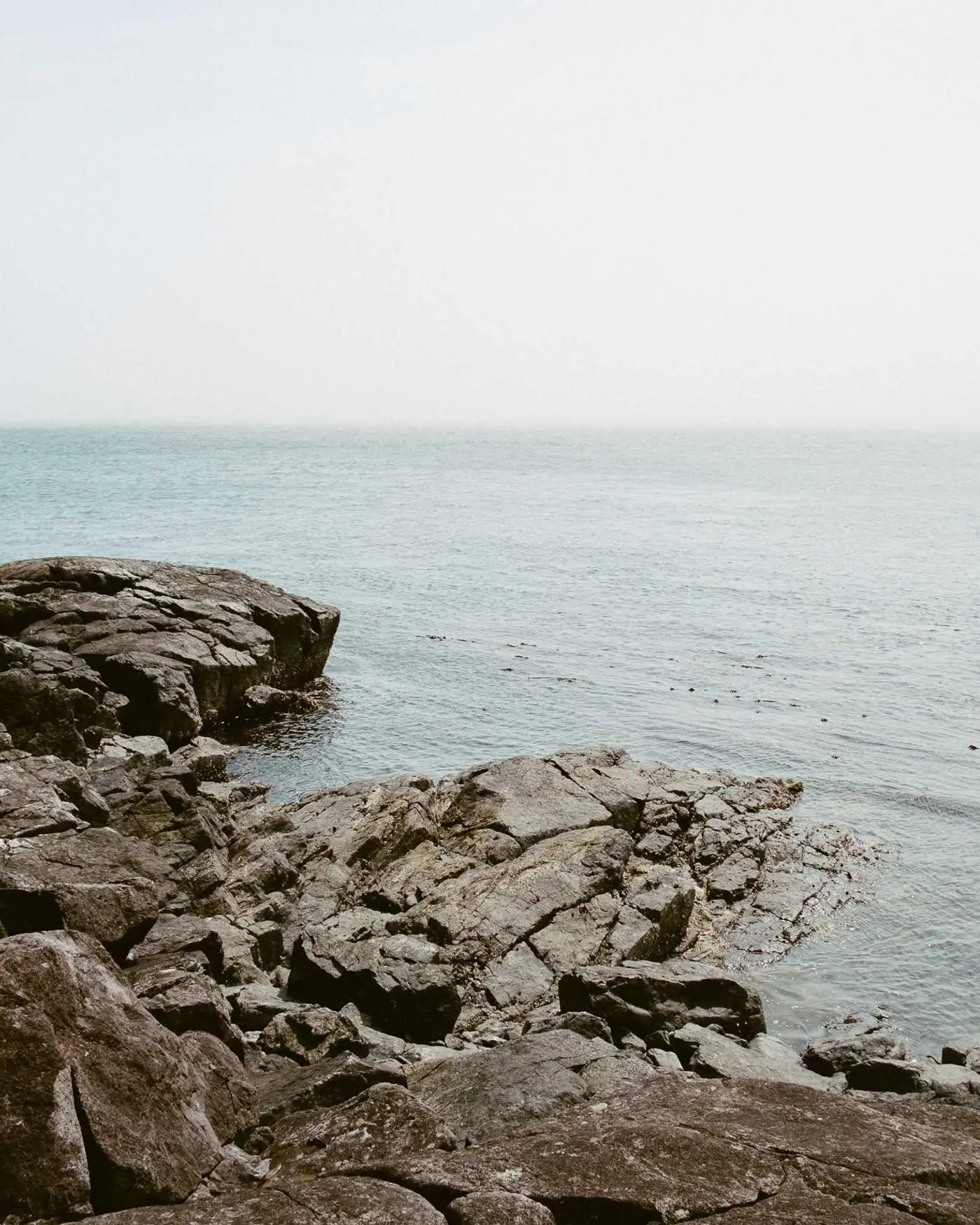 Rocas de la orilla ante un mar pálido